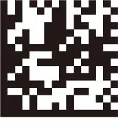 Minh họa mã Data Matrix phiên bản ECC200 với số mô-đun chẵn, hiện đại hơn